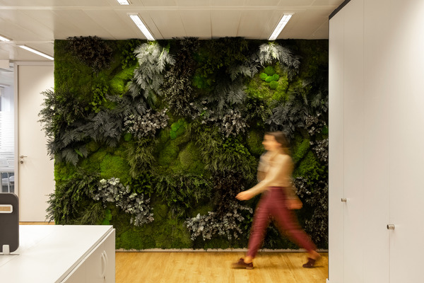 corporate interior with woman walking in front of biophilic wall