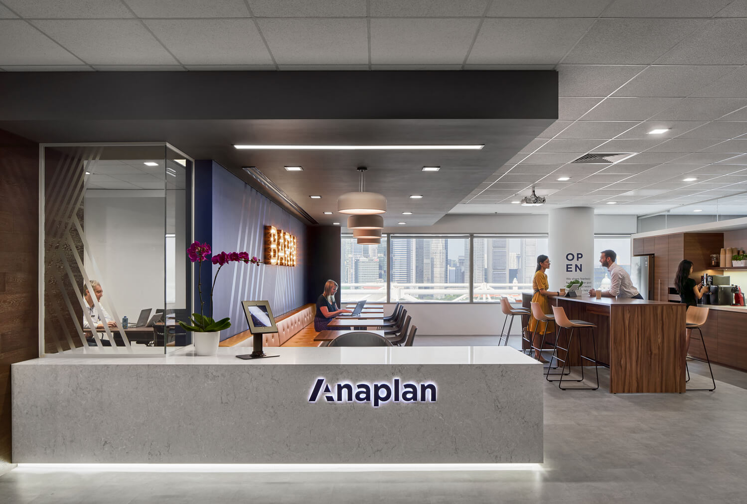 Anaplan_reception