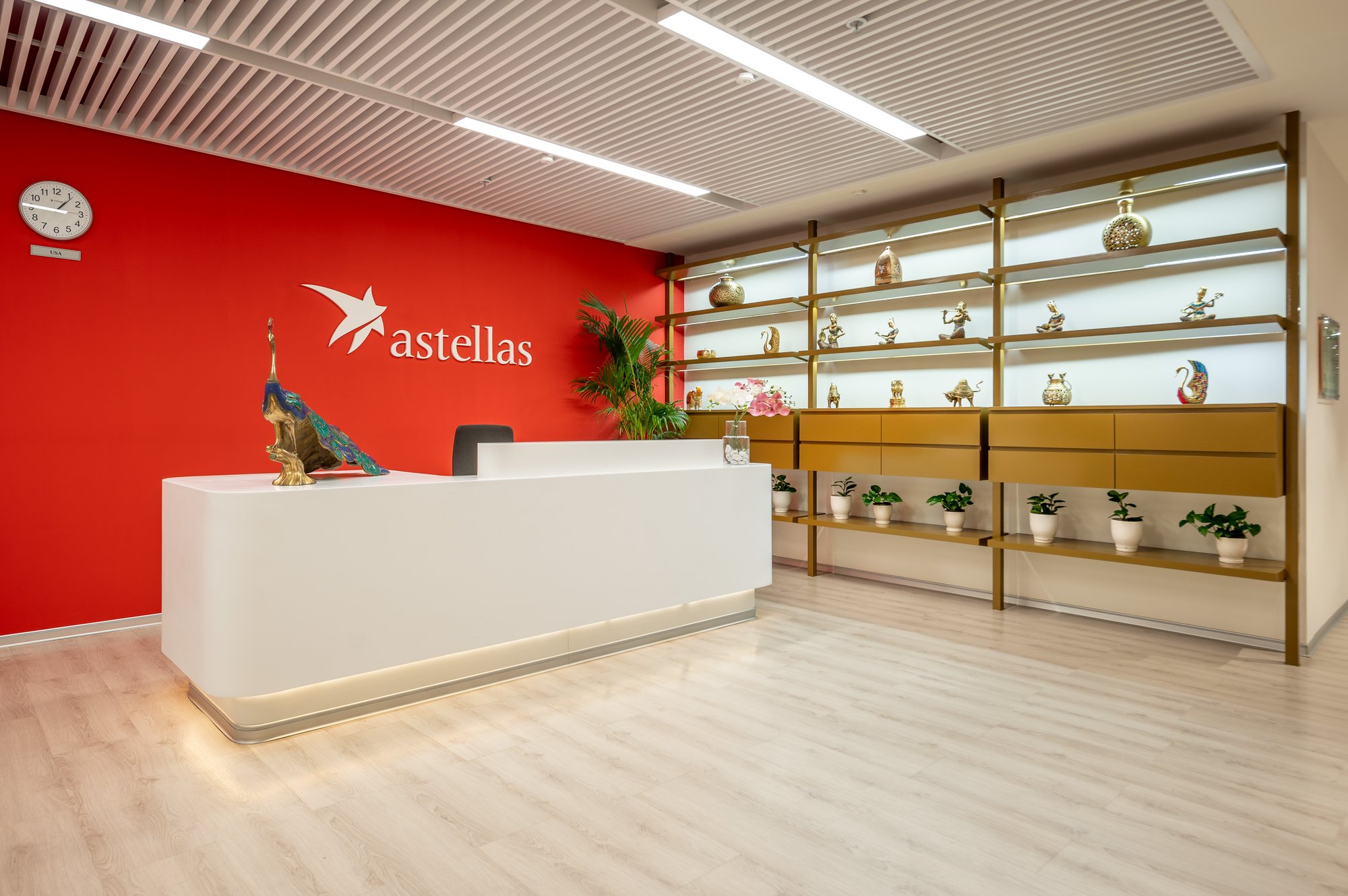 Astellas-1-1