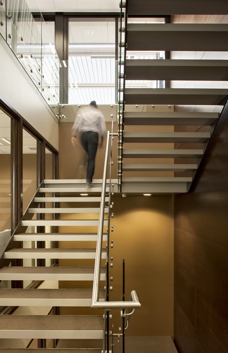 Wynn Williams_stairs