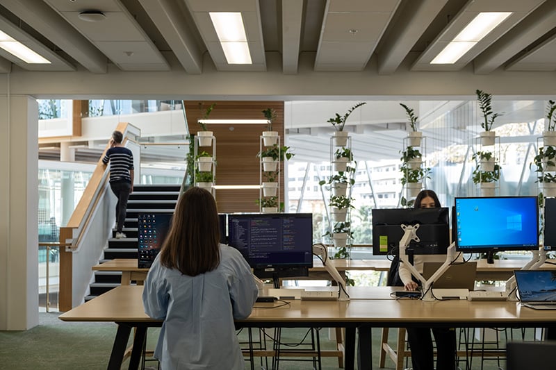 Tonkin + Taylor standing desks