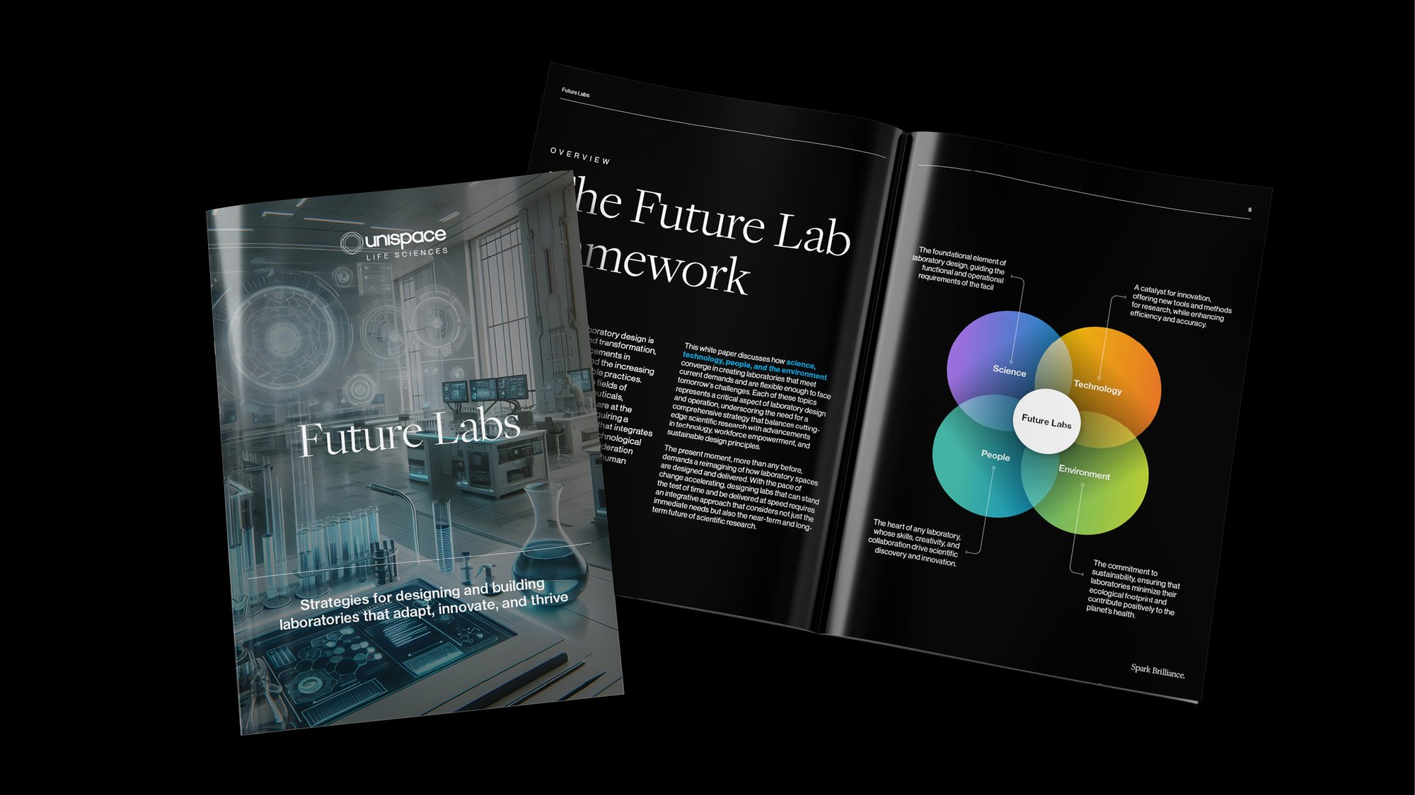 Future labs white paper