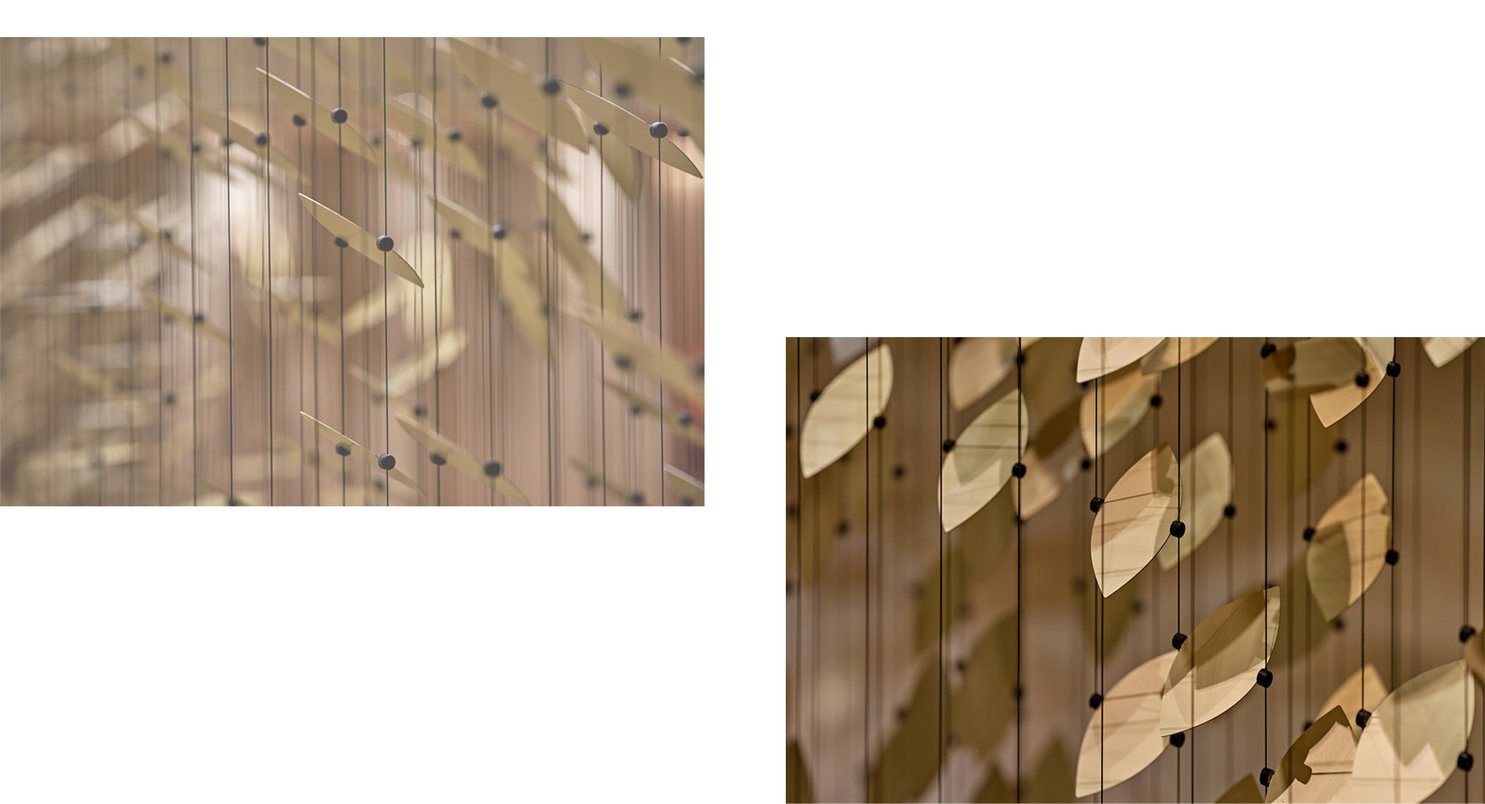 leaf-close-2-1