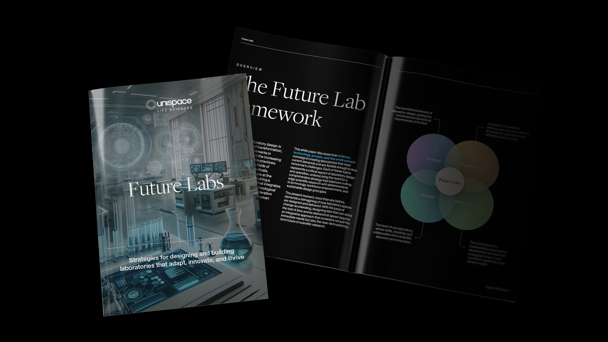 Future Labs 