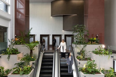 Majestic Centre_Unispace_02