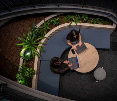 Two people sitting at desk with laptops surrounding by greenery and plants