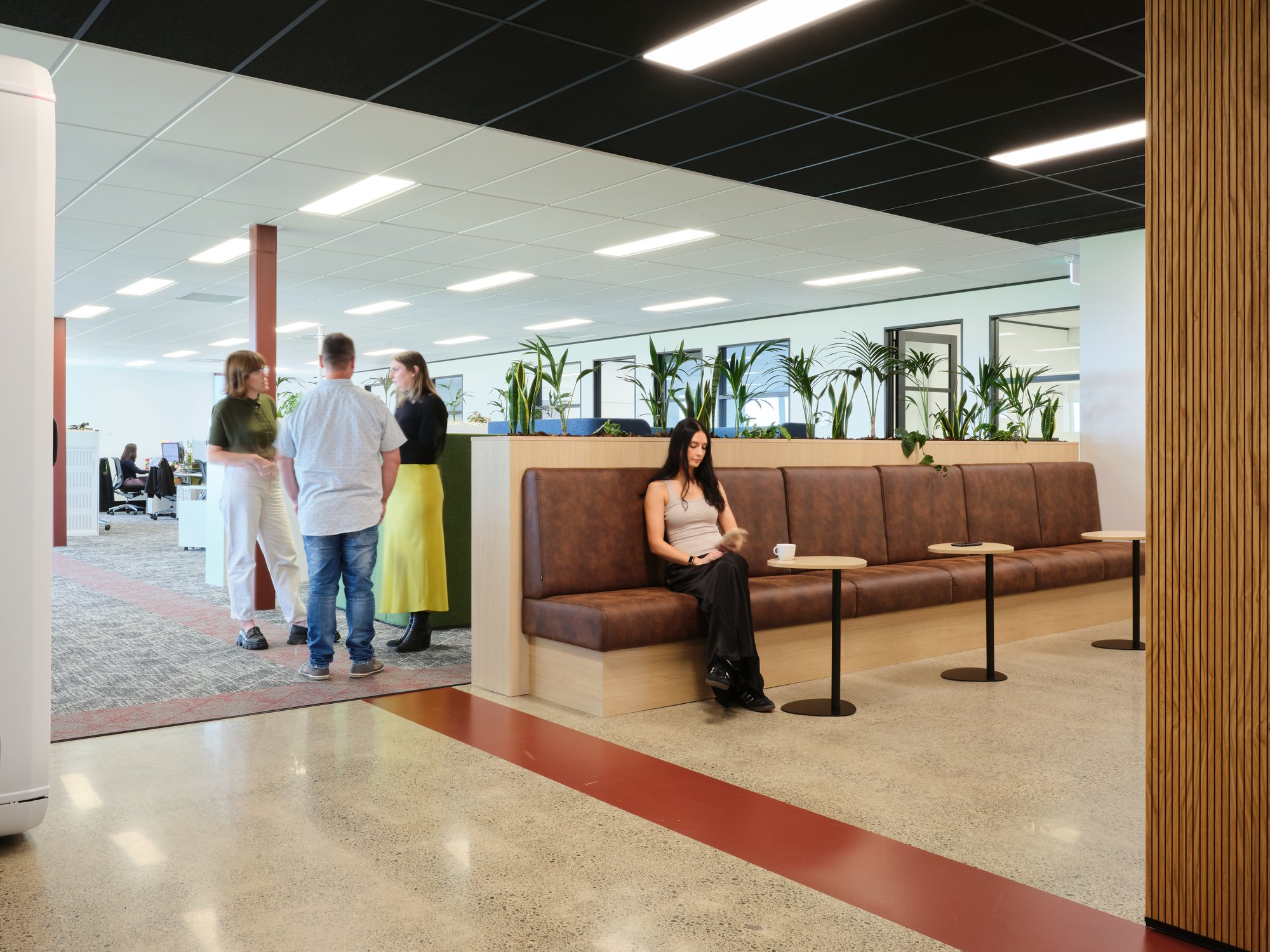 Unispace_Terra Cat_12