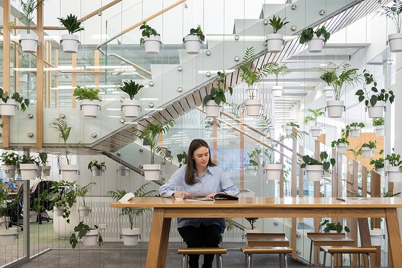 Tonkin Taylor Auckland office with indoor planting