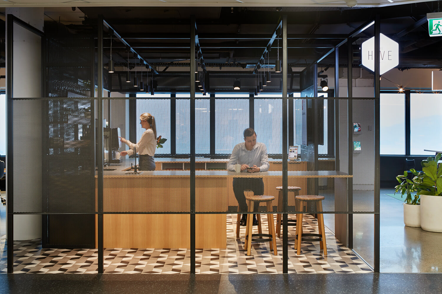 BNZ_clearwalls