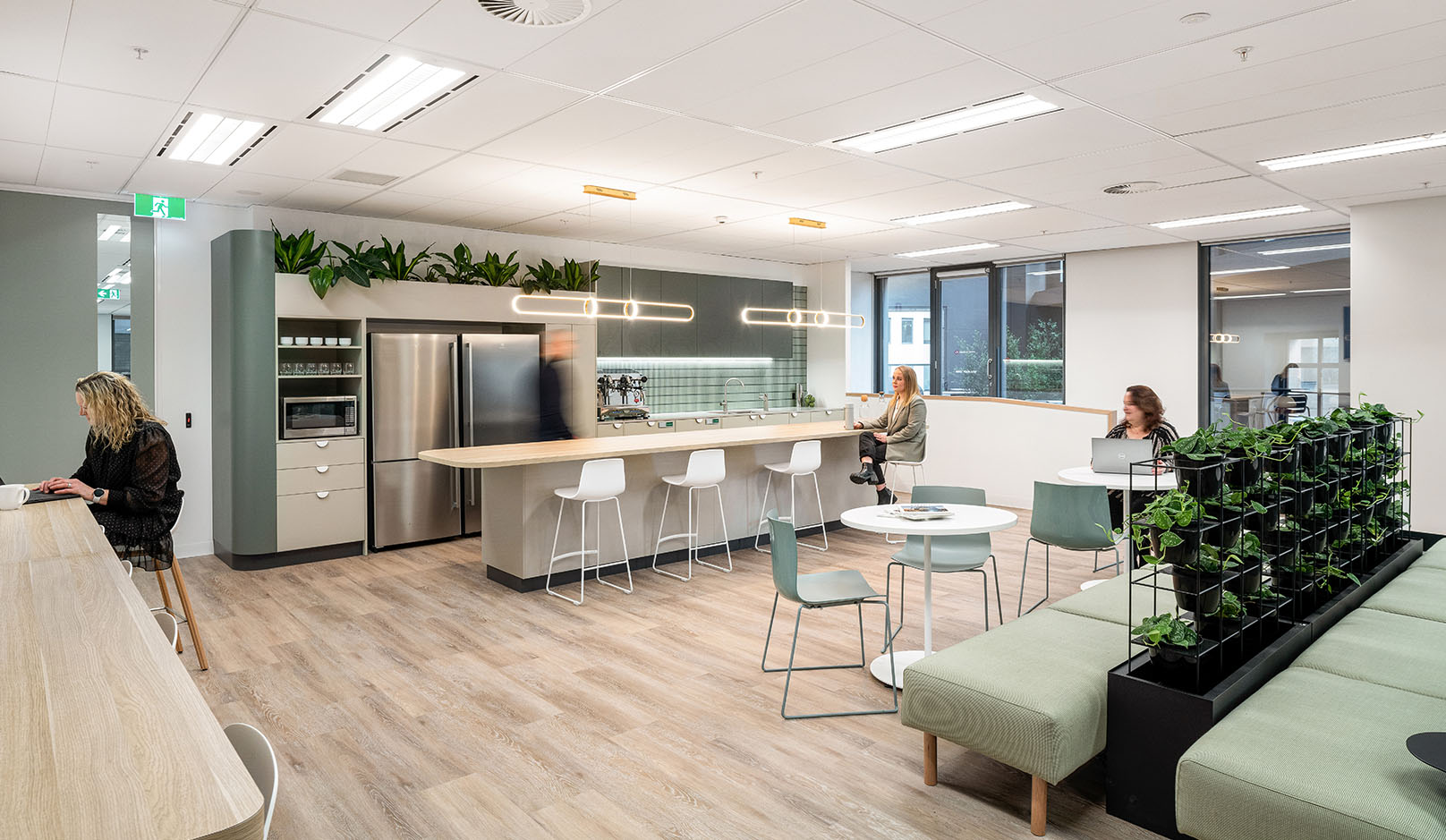 Barry Nilsson open kitchen area with plants