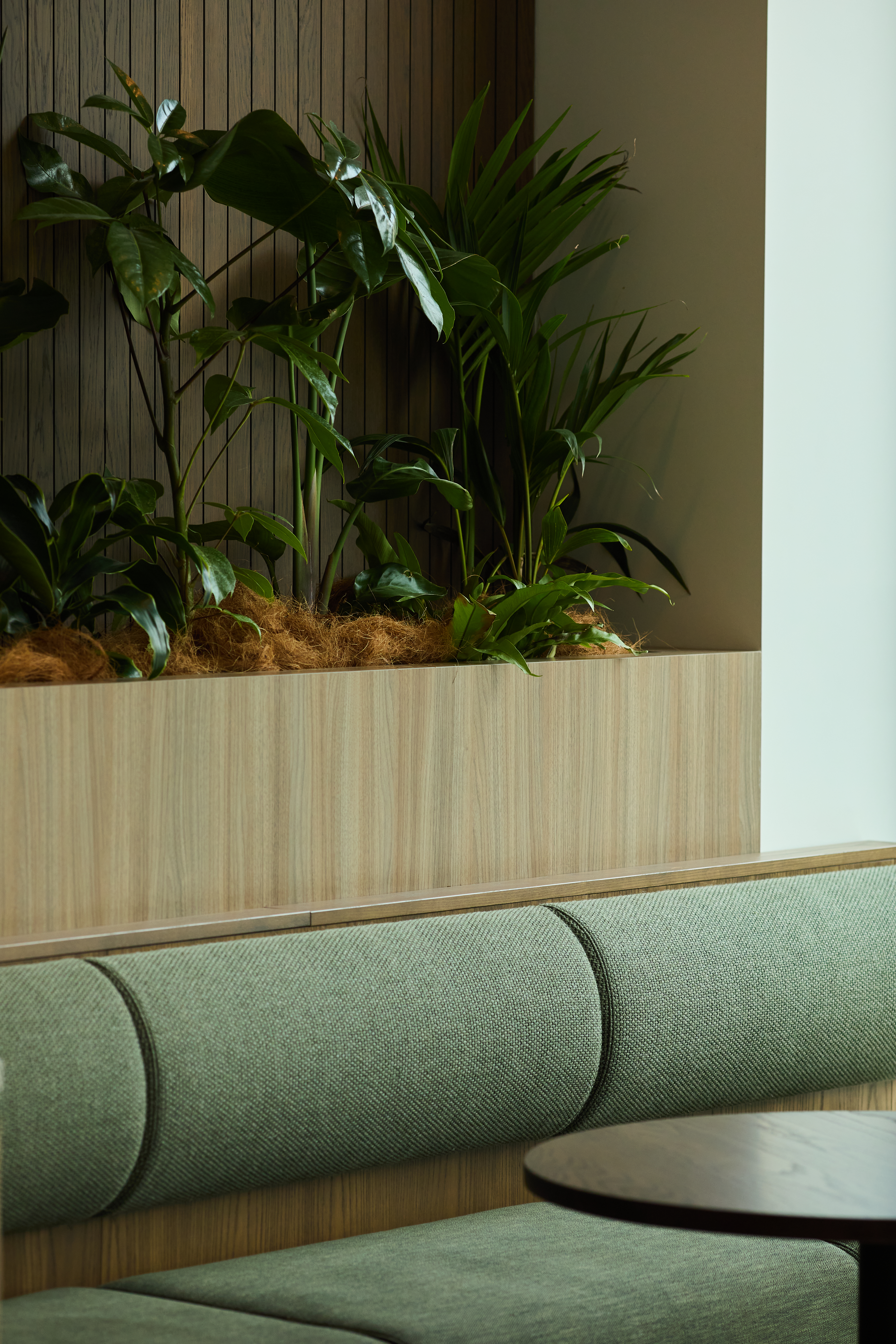 Warm timbers and neutral joinery reflecta high-quality, premium office design