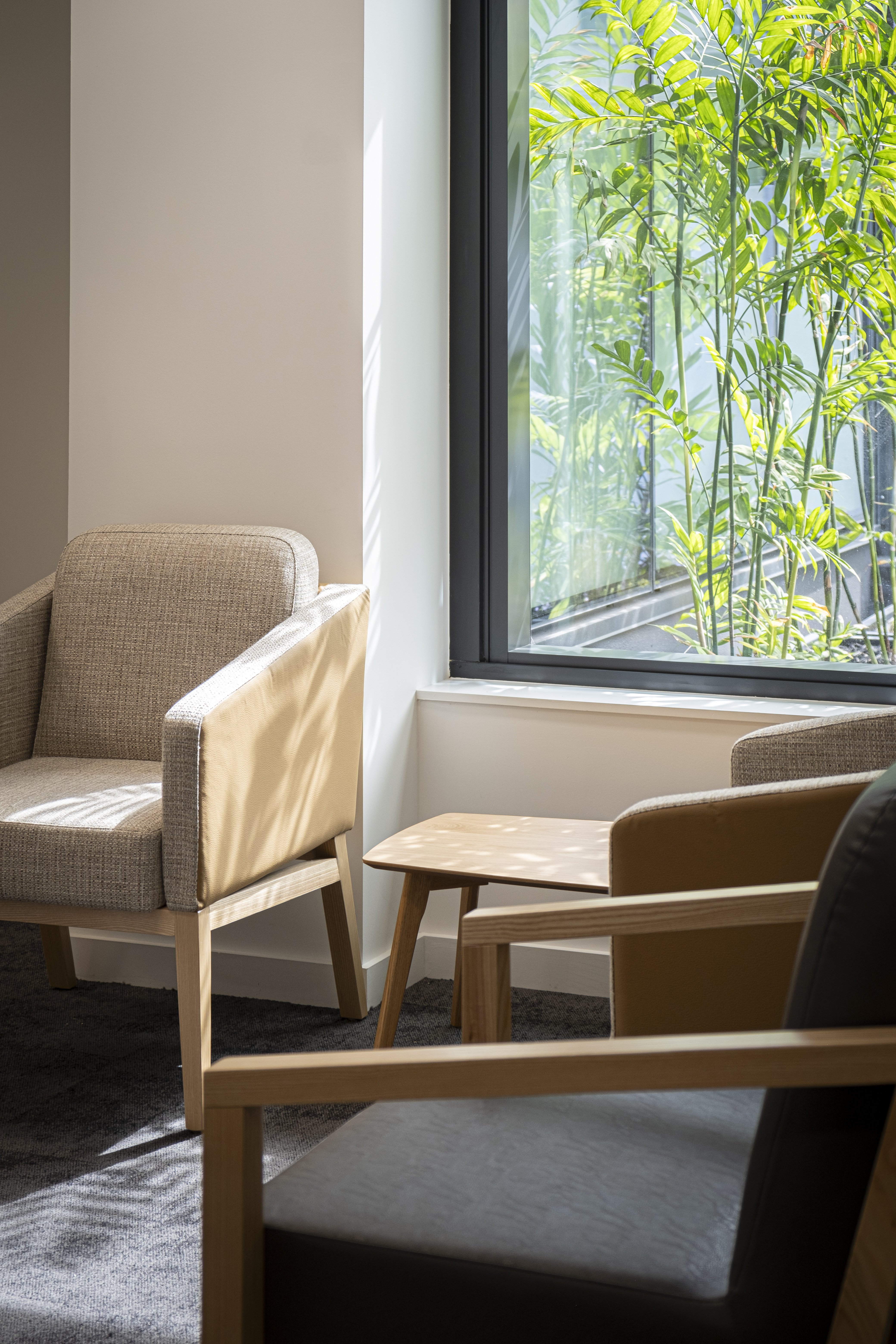 Patient waiting area at the physio and rehabilitation space, views to nature and natural sunlight