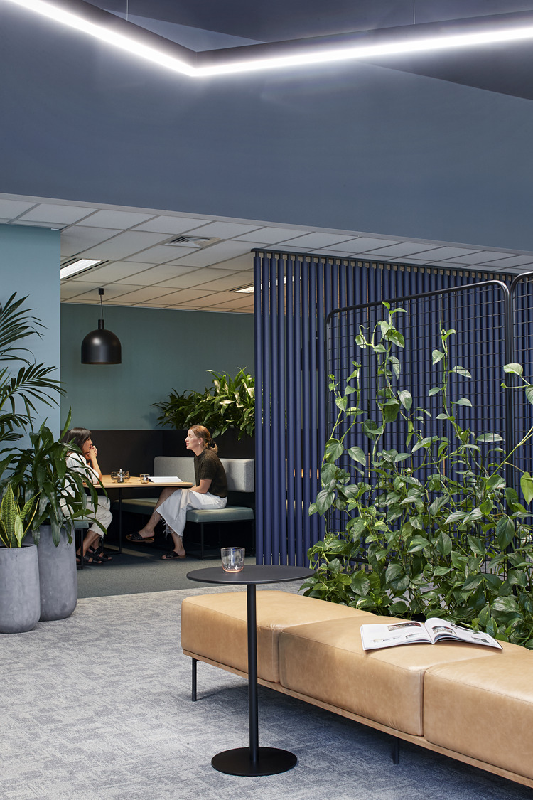 Bupa workspace