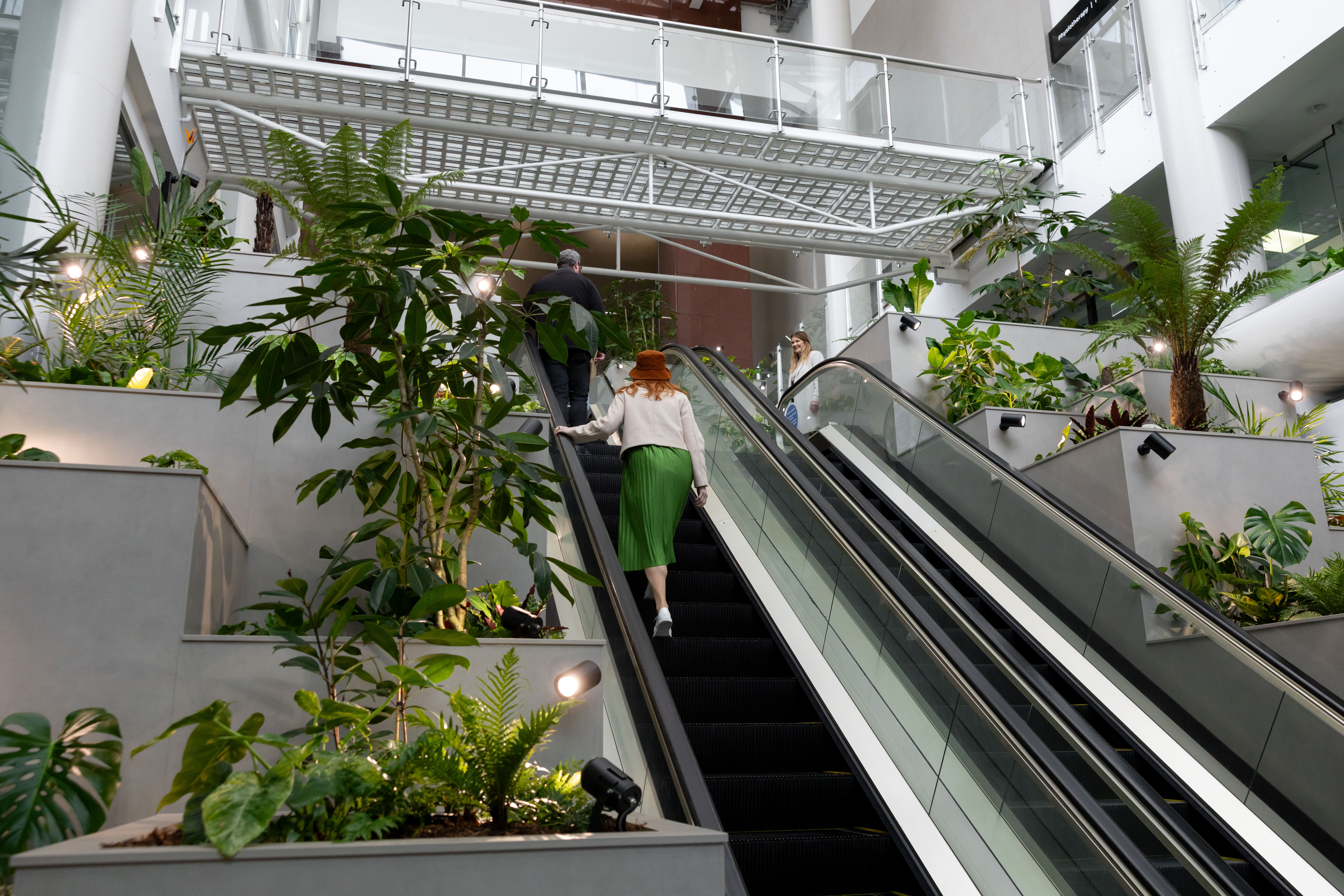 Extensive indoor planting creates a lush, natural outdoor environment