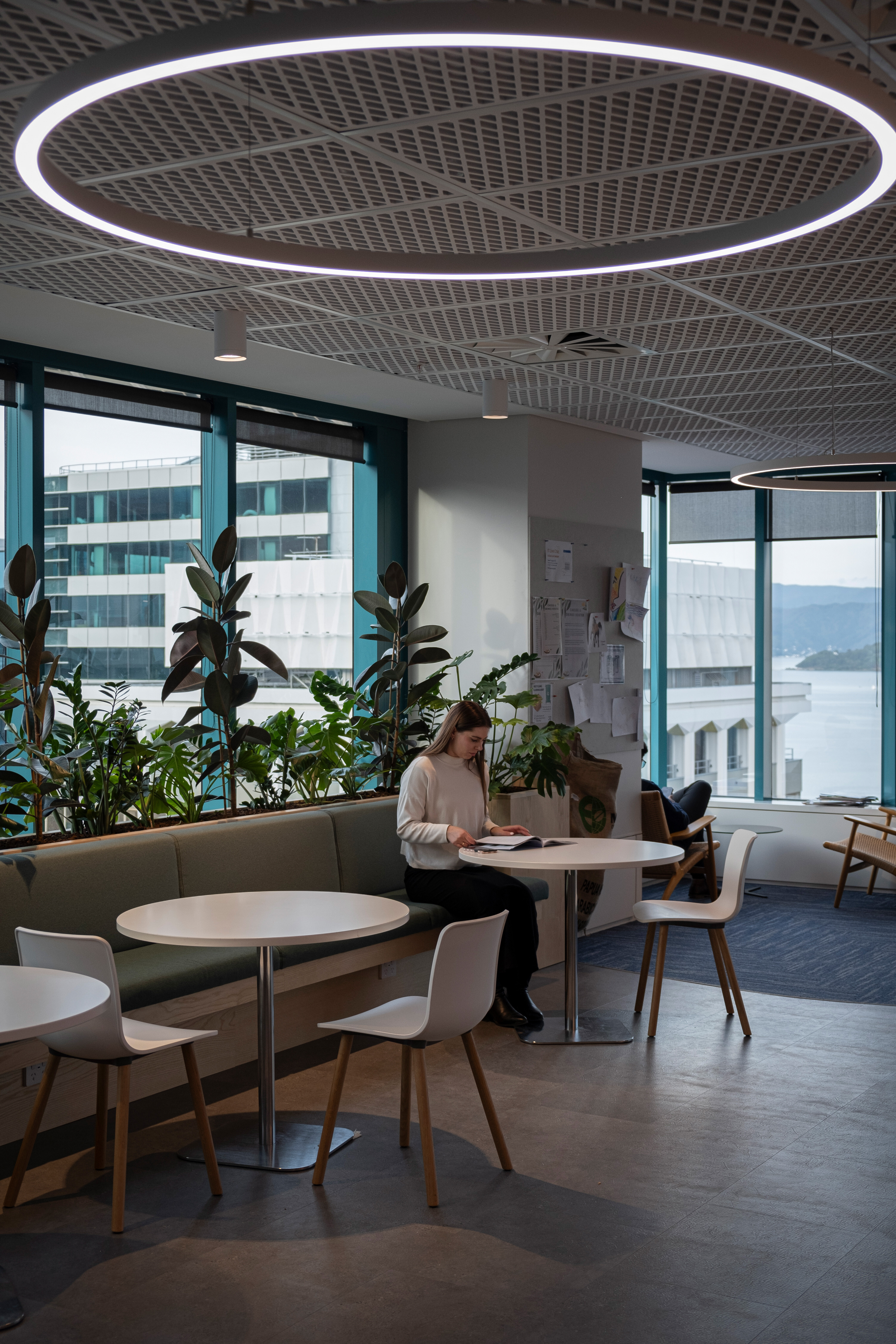 Kitchen breakout space with planting and circular feature light