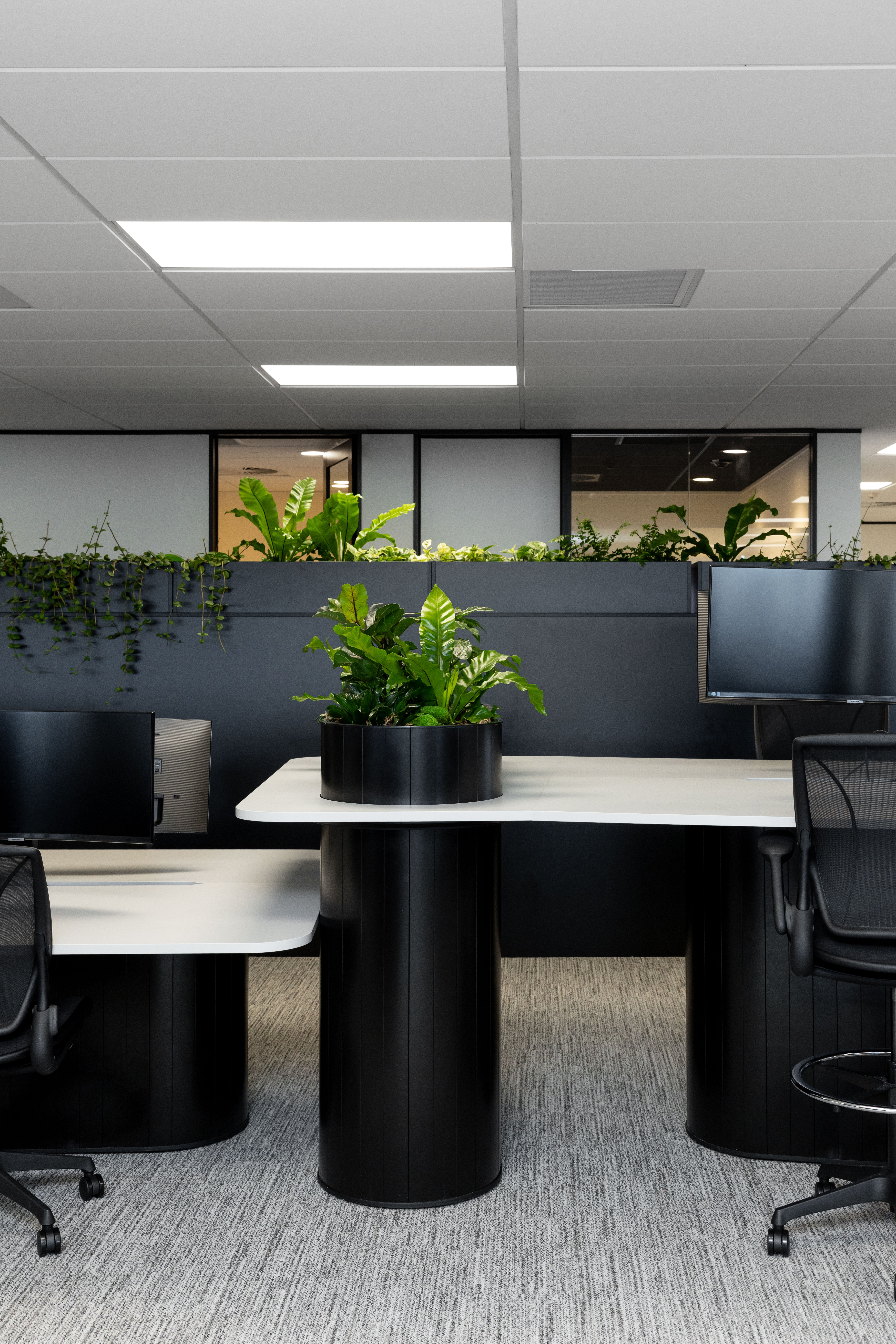 Flexible work stations at Samsung's Auckland head office