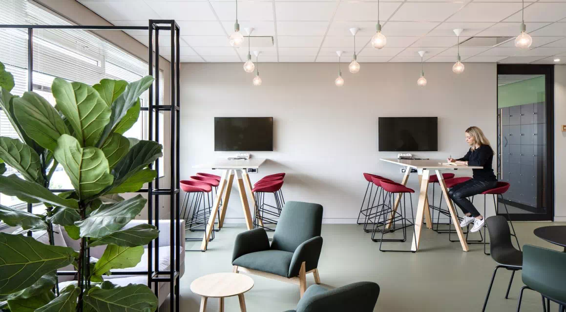 Design trends to support mental health and wellness in the workplace